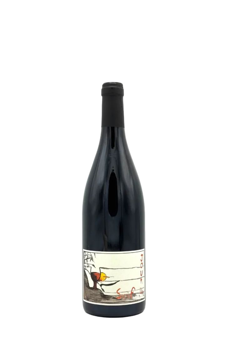 Gauthier (Bel Air) Jour de Soif Bourgueil 2024
