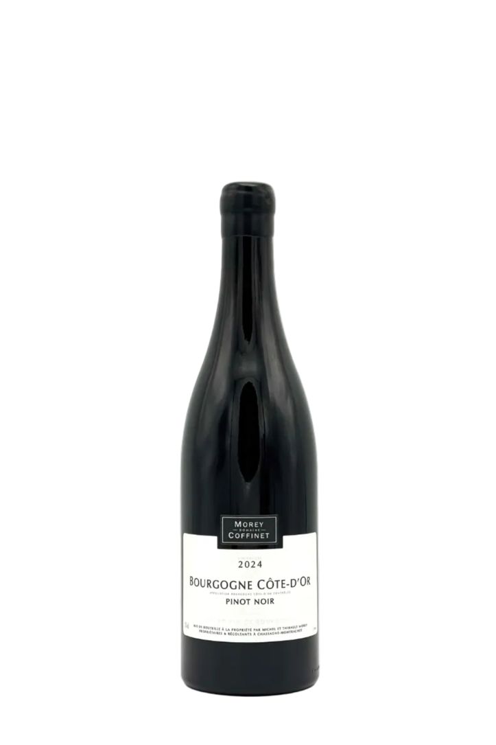 Domaine Morey-Coffinet Burgundy Côte d'Or Pinot Noir 2024
