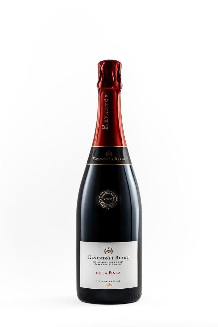 Raventos i Blanc De la Finca Conca del Rui Anoia 2021